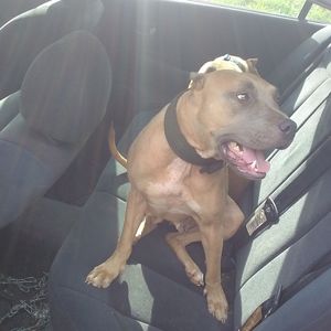 Meet your Posher, Sadecka